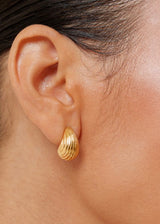 Ridged Earrings