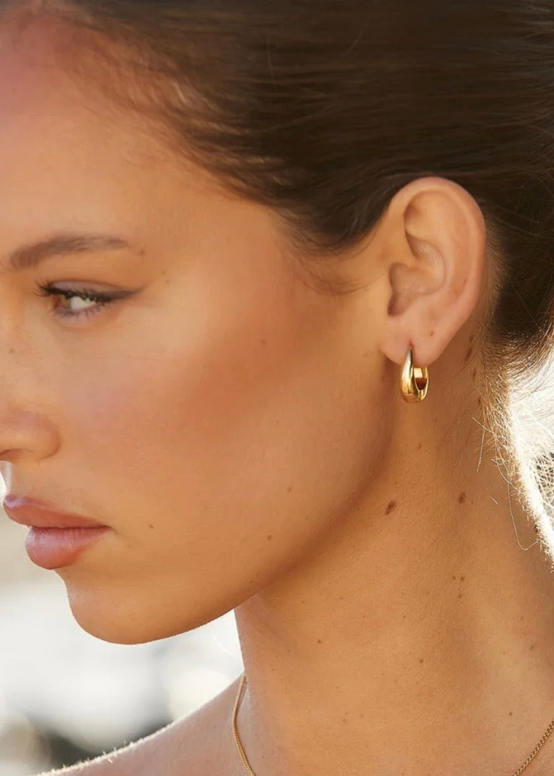 Drop Earrings