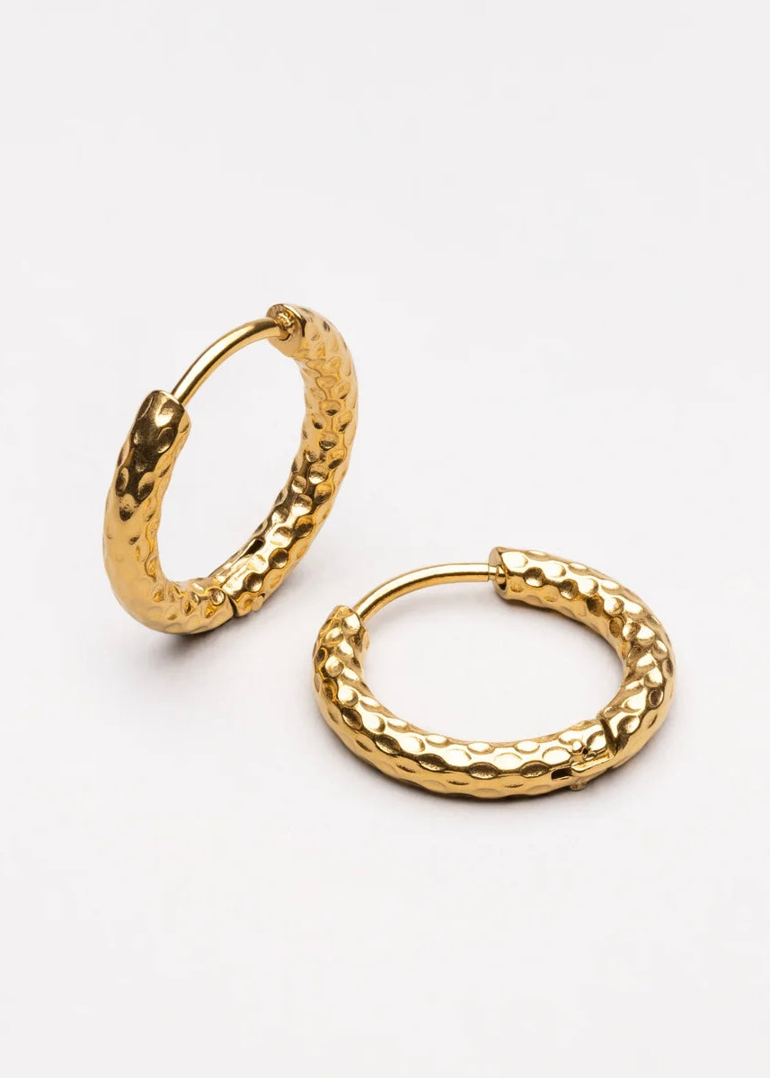 Hammered Hoops Earrings