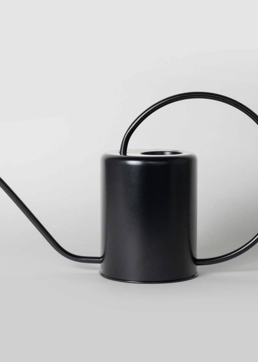 2L Stainless Steel Watering Can