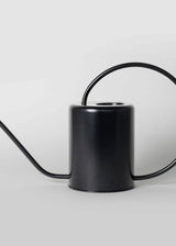 2L Stainless Steel Watering Can