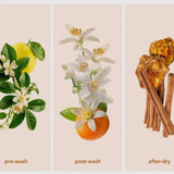 Zero Waste Laundry Detergent Sheets Neroli Zen