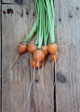 Carrot Paris Market