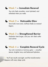Face Serum (Night, Lactic Acid 10%)