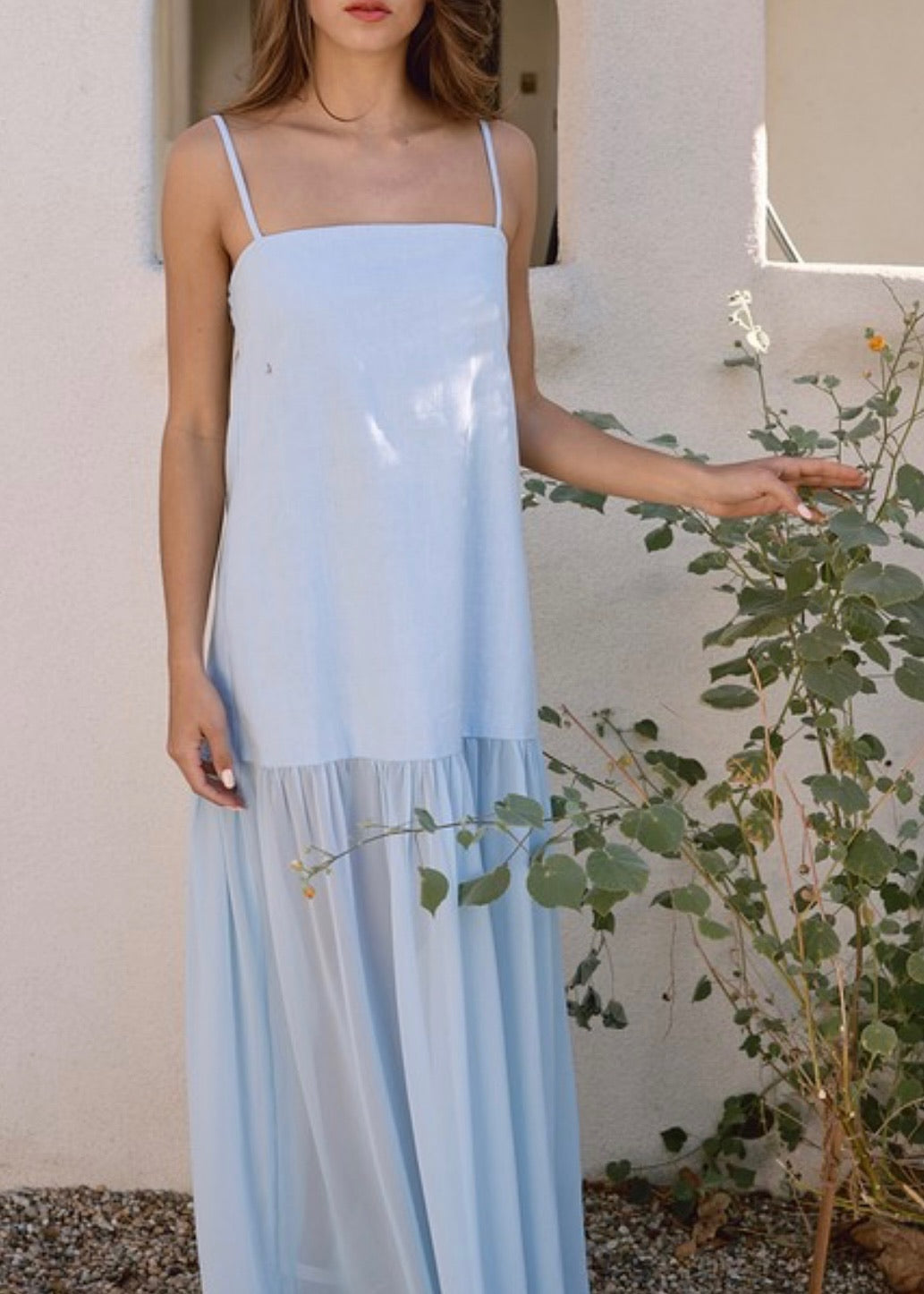 Muse Sheer Dress