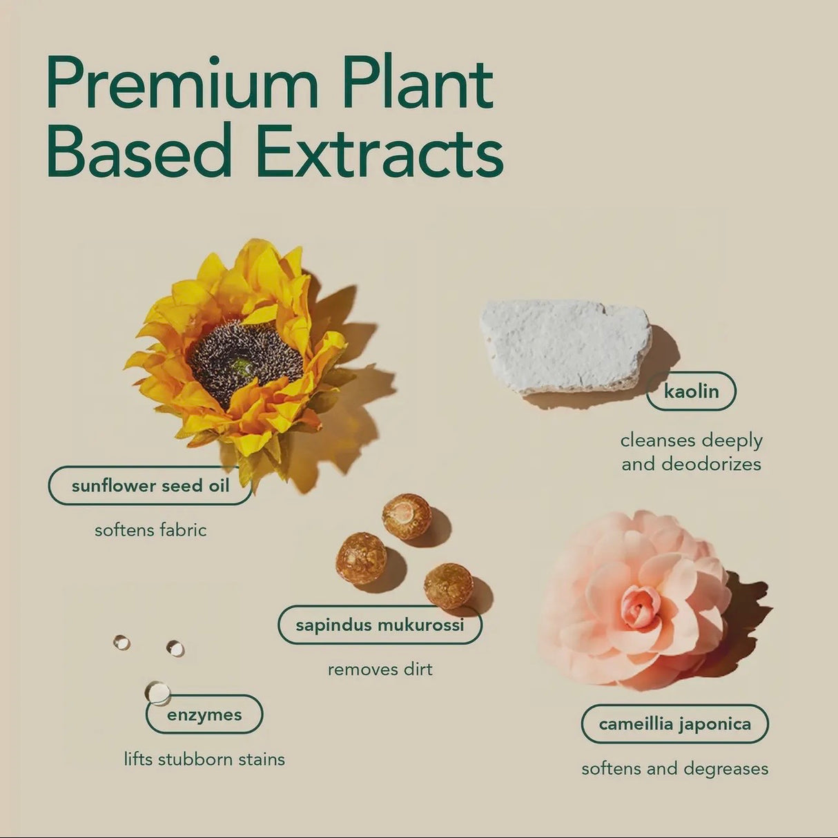 Zero Waste Laundry Detergent Sheets Wood Haven