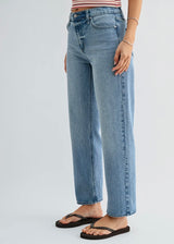 Classic Straight Leg Light