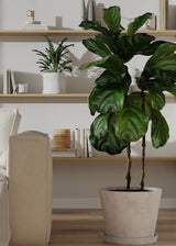 Tapered Signature Stone Planter
