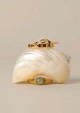 Oasis Ring