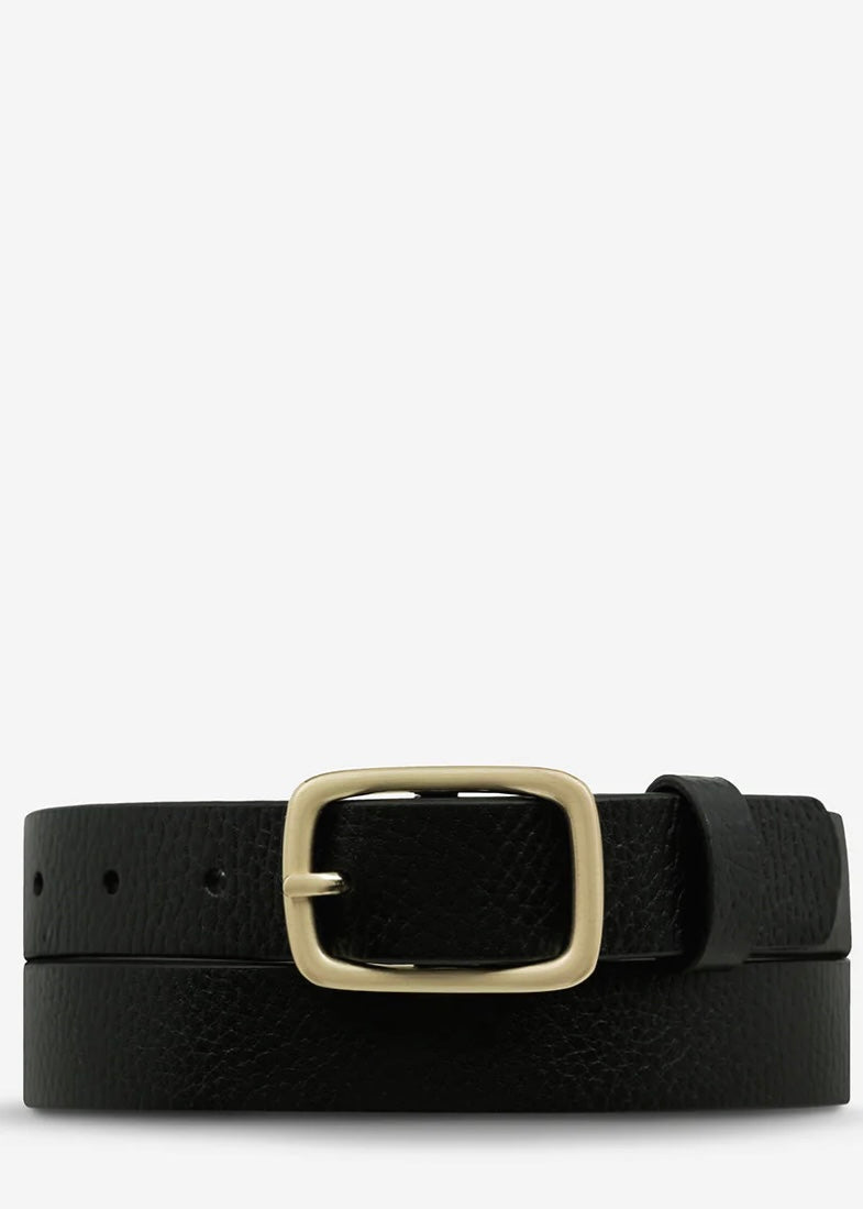 Nobody's FaultBelt