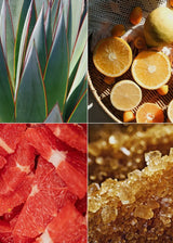 Mini Spa Steamer and Tray