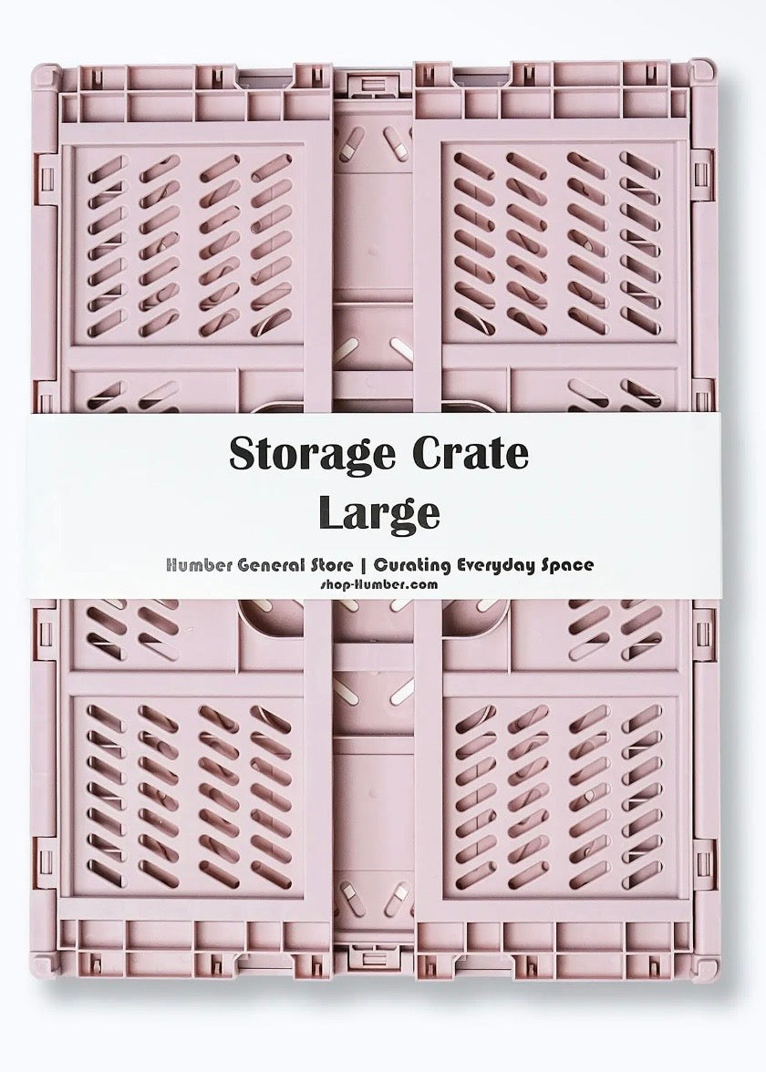 Large Color Storage Crate