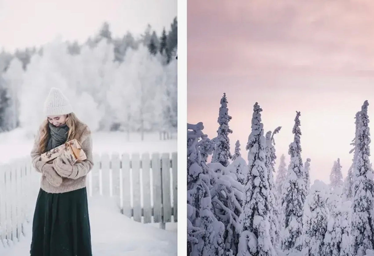 Nordic Winter Cookbook