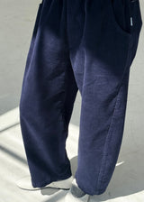 Arc Pants Regular