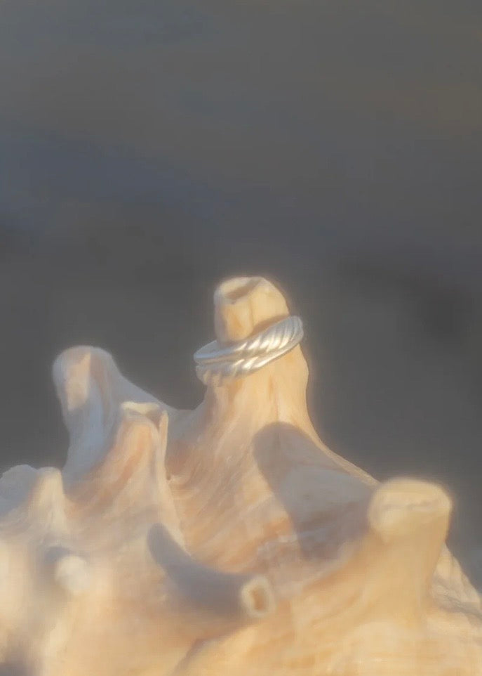 Meridian Signet Ring in Sterling Silver