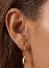 Drop Earrings