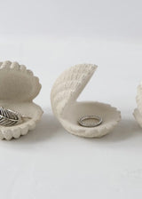 Shell Jewelry Holder