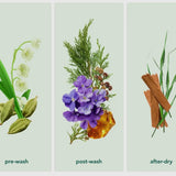 In Wash Scent Boosters Wood Haven