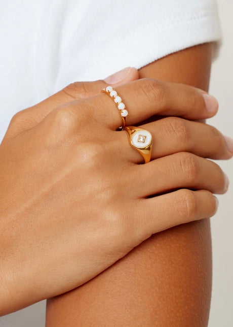Polar Signet Ring