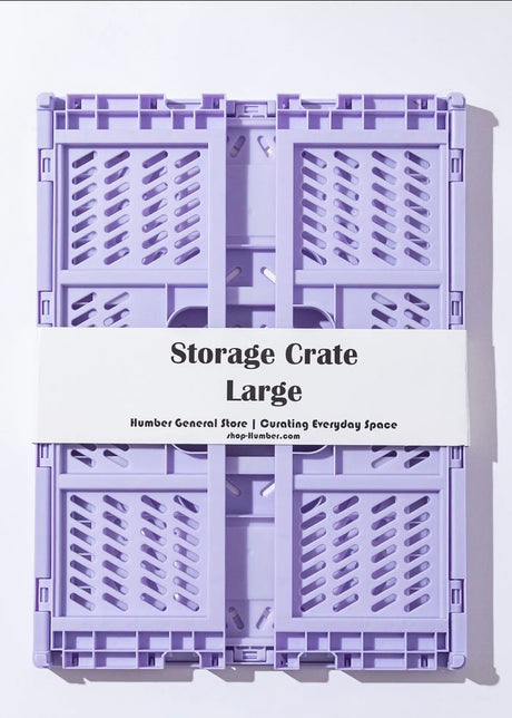 Large Color Storage Crate