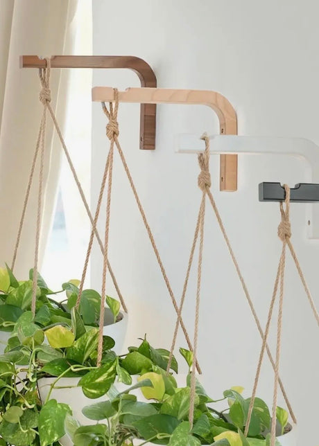 Wooden Plant Hanger Hook