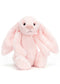 Bashful Bunny