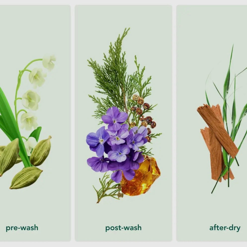 Zero Waste Laundry Detergent Sheets Wood Haven