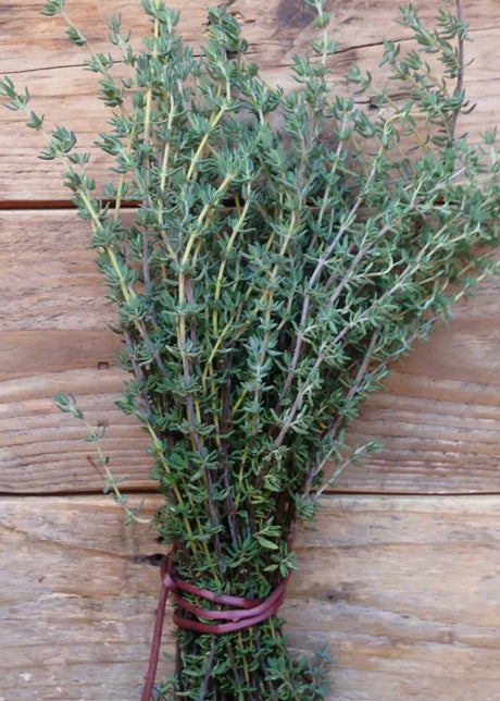 Thyme De Provence