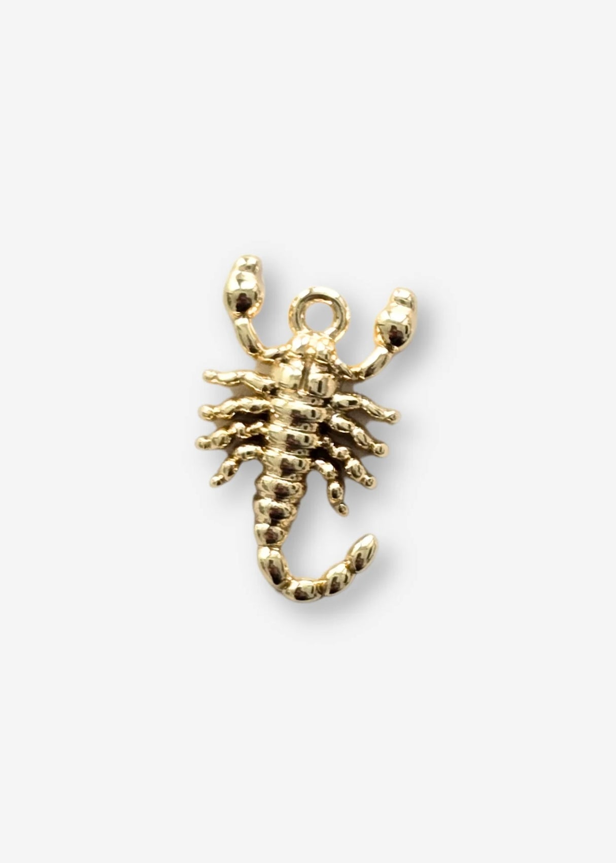 Bijou Bodega | Scorpion