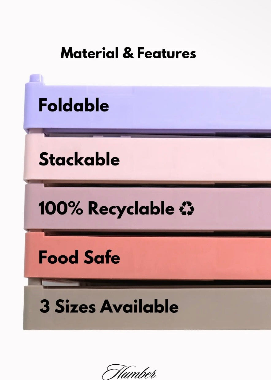 Medium Color Storage Crate
