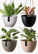 Signature Stone Hanging Planter Pot