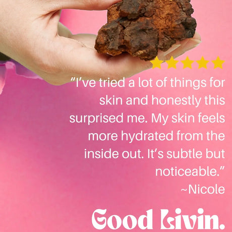 Chaga - Anti-Oxidant | Anti-Aging