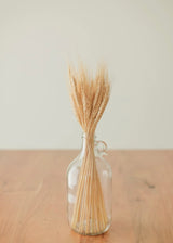 Preserved Wheat Bundle