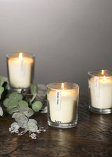 Botanical Set of Three Votive Candles