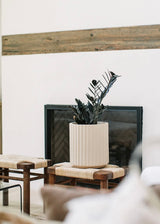 Scallop Cylinder Planters