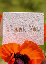 Thank You Symbols Plantable Seed Paper Card