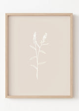 Neutral Lavender