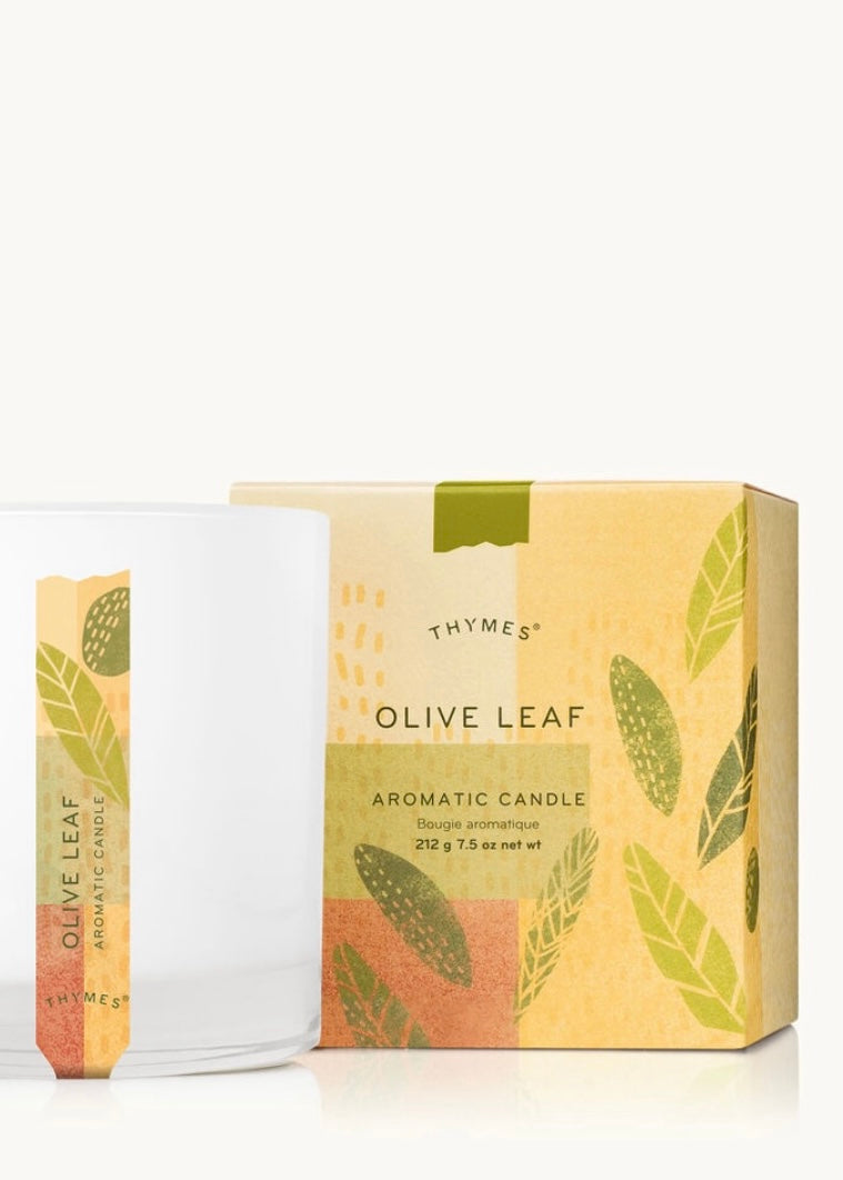 Olive Leaf Poured Candle Medium